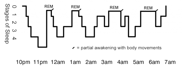 Sleep Stages