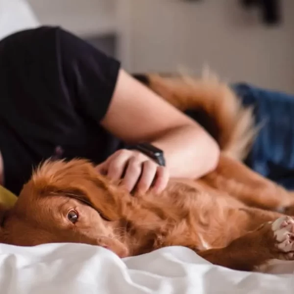 Unlocking the Mystery of Paradoxical Insomnia: Treatment Options for Long-Term Relief